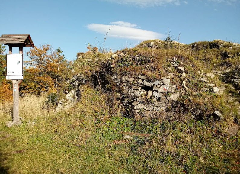 Ruins of Karpenstein Castle, Poland